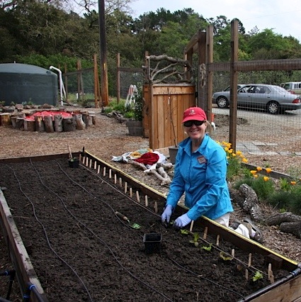 Bonnie Stephens planting the first vegetable crop of the season on Saturday, March 30, 2013